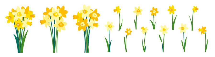 Clip art of yellow daffodils and spring bouquet of narcissus flowers isolated on white - obrazy, fototapety, plakaty