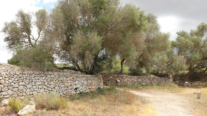 Poblado Talayótico de Son Catlar. Ciudadela, Menorca, Islas Baleares, España © IVÁN VIEITO GARCÍA