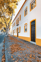 autumn in portugal. streets strewn with fallen yellow leaves of trees. beautiful architecture