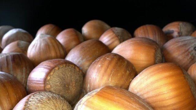 Close up pan over pile of brown hazelnuts, 4k ultra macro footage