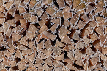 Holzvorrat