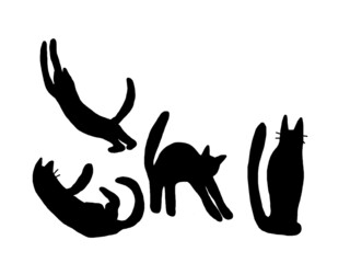 Naklejka premium silhouette of a cat