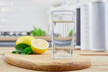 Glass of filtered clean water with reverse osmosis filter, lemons and cartridges on table in...