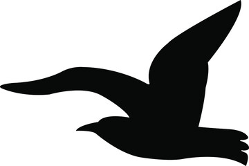 silhouette of a dove