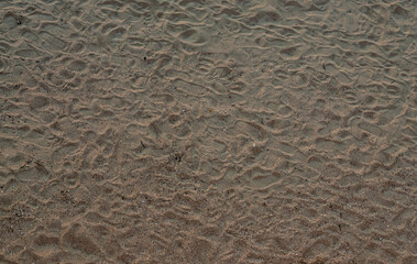 Sand on the beach for background. Brown beach sand texture as background.