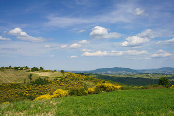 Landscape in Molise near Macchiagodena and Frosolone
