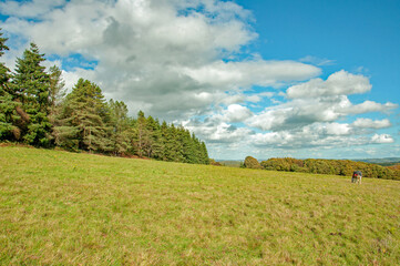 Summertime scenery in the hills of Wales.