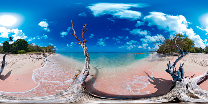 Driftwood near Haywoods beach