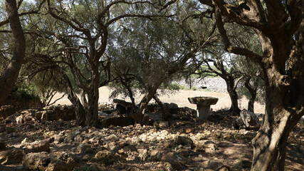 Poblado Talayótico de Torrellafuda, Menorca, Islas Baleares, España © IVÁN VIEITO GARCÍA