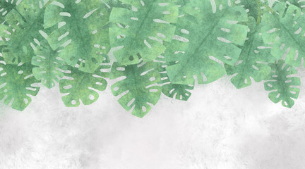 The leaves of the Monster plant hang on the concrete wall. Grunge vintage watercolor illustration mural for the wall © Kler