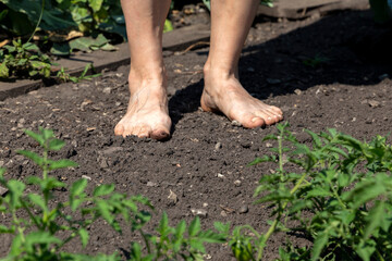 Barefoot woman stands on the raw soil with green grass and copy sace for your text