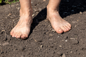 Barefoot woman stands on the raw soil with copy sace for your text