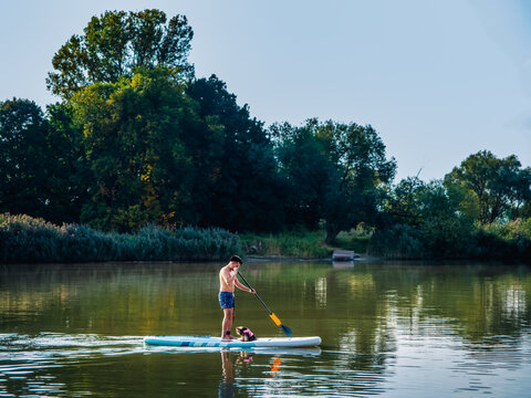 Young person stand on paddle board with his small yorkshire terrier and swimming on a river in a sunny day. Stand up paddle boarding or paddling is awesome active recreation in nature.