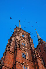 Katedra Wrocław na tle niebieskiego nieba. Ostrów Tumski - obrazy, fototapety, plakaty