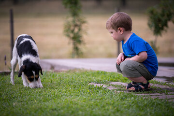 Niño rubio juntando con perro en el parque