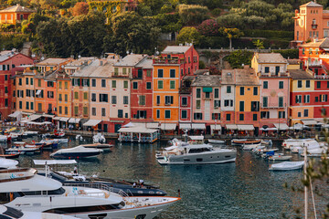 Fototapeta na wymiar Liguria, Italy, Europe. View from above over beautiful Portofino with colorful houses and villas, in little bay harbor.