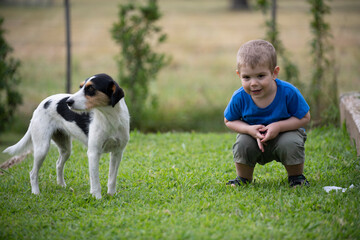 Niño rubio juntando con perro en el parque