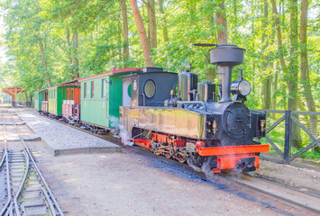 Old historical steam train, railroad green vagons, trees and grass, blue sky