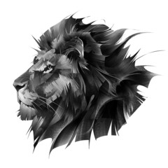 painted portrait of a muzzle of a lion on a white background - 481383120