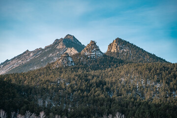 landscape in the winter