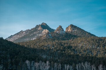 landscape in the winter