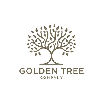Golden Tree Oak Banyan Maple Emblem logo design vector template
