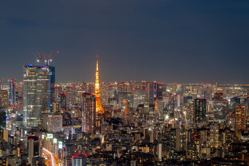 Fototapeta na wymiar 東京都渋谷区にある高層ビルから見た東京の夜の都市景観