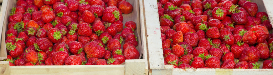 A box of big red juicy strawberries sold at the market city.