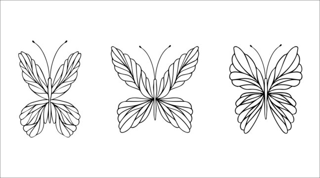 Graphics black and white butterflies sketch tattoo collection