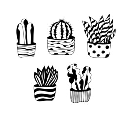 Home plants set. Hand drawn vector illustrations.