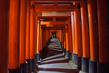Torii path at Fushimi Inari-Taisha Shrine in Kyoto city, Japan