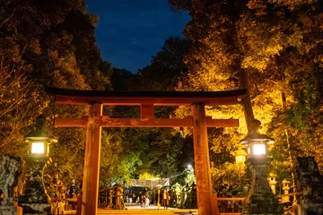Afwasbaar fotobehang 【奈良】ライトアップされた夜の春日大社の鳥居 © Japan_Travel