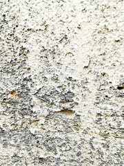 Grungy section of wall ideal for backgrounds