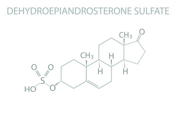 Dehydroepiandrosterone sulfate molecular skeletal chemical formula.	