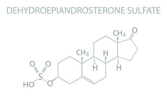 Dehydroepiandrosterone Sulfate Molecular Skeletal Chemical Formula.	