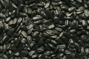 Sunflower seeds close-up. Dark background. A healthy snack.