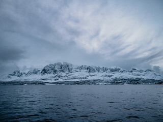 Orca watching in northern Norway above the arctic circle in Winter