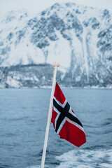 Orca watching in northern Norway above the arctic circle in Winter