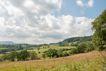 Fototapeta na wymiar Summertime scenery in the Welsh hills.