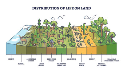 Distribution of life on land with geographical climate zones outline diagram. Labeled educational categories division system for natural habitat zoning vector illustration. Earth vegetation scheme.
