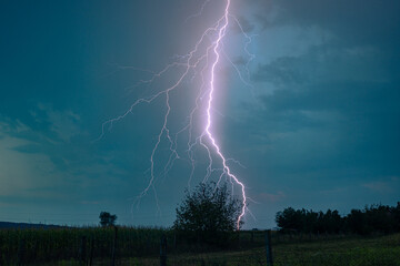 Bright branched bolt of lightning strikes very close behind a tree in the landscape