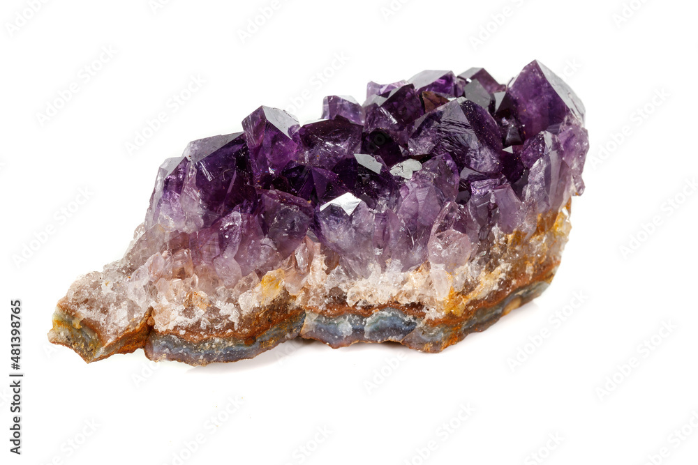 Wall mural Amethyst Crystal Druse  macro mineral on white background