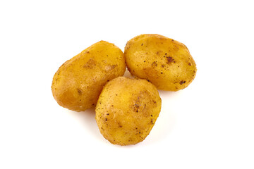 Fried potatoes, isolated on white background.