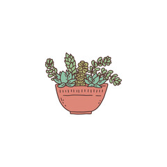 succulent houseplant. Indoor potted plant vector outline doodle illustration.