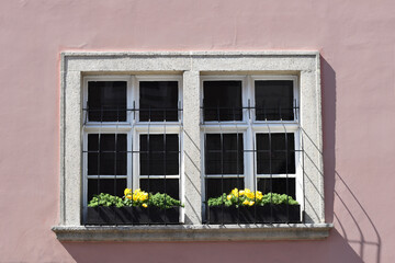 White window on pink wall outside with flowers