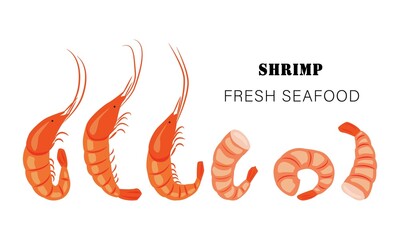 Shrimp banner. Shell-on shrimps and a row of peeled shrimps. Vector illustration for the menu of fish restaurants, for packaging in markets and shops.