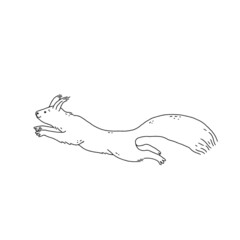 squirrel jump. Cartoon outline sketch black white illustration of cute animal character.