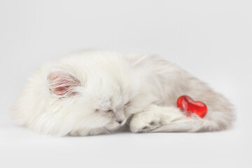 Fototapeta premium Cute kitten with sleep with red heart. Gift for Valentine's day, red background. Love, 14th February