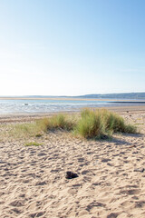 Obraz premium Sand dunes on the beach