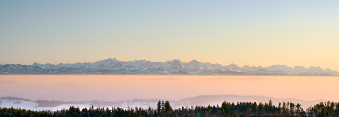 Ein wolkenloser Alpentraum, Panoramasicht aus dem Schwarzwald auf die Schweizer Alpen.